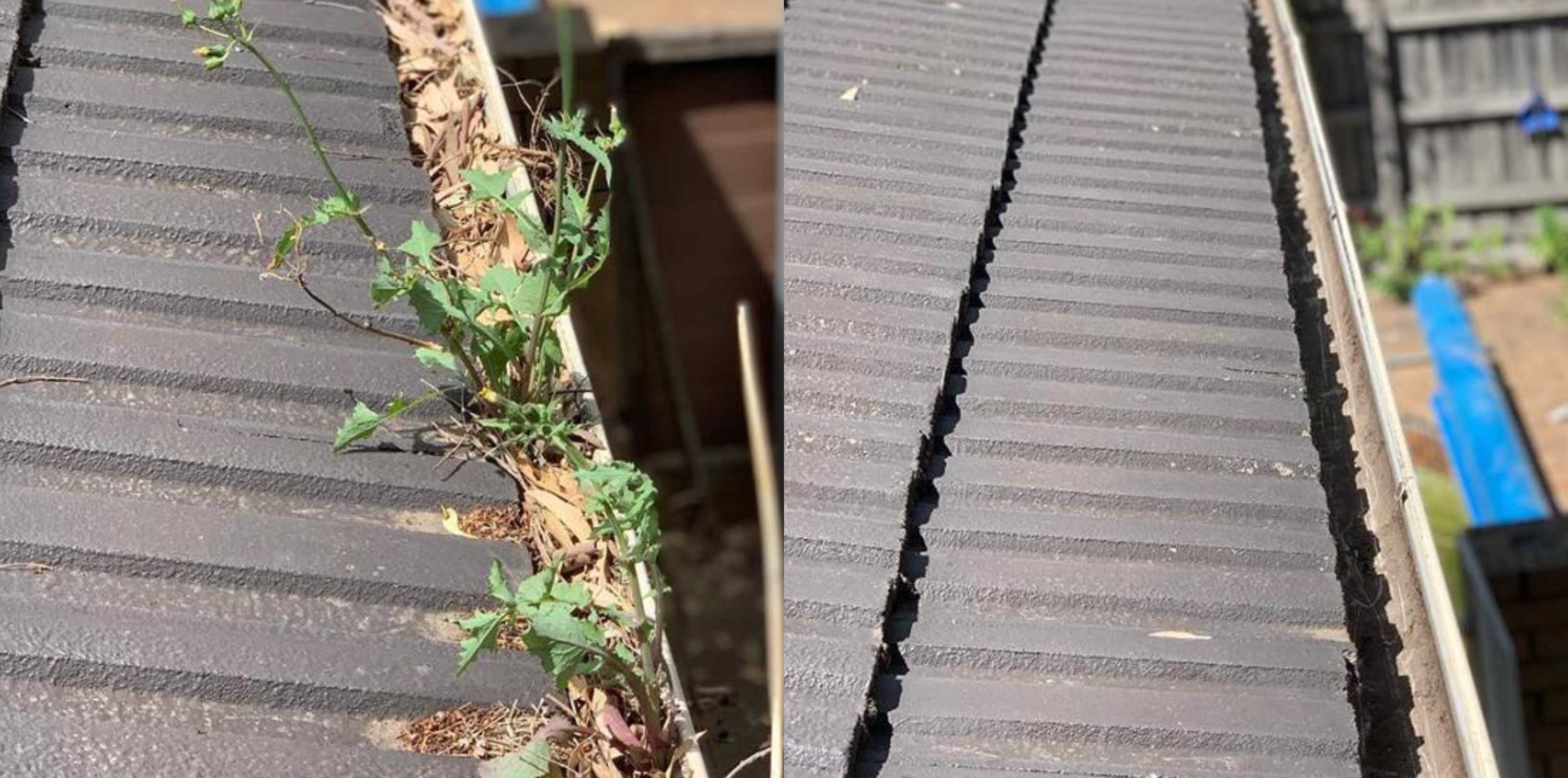 Gutter Cleaning Made Easy